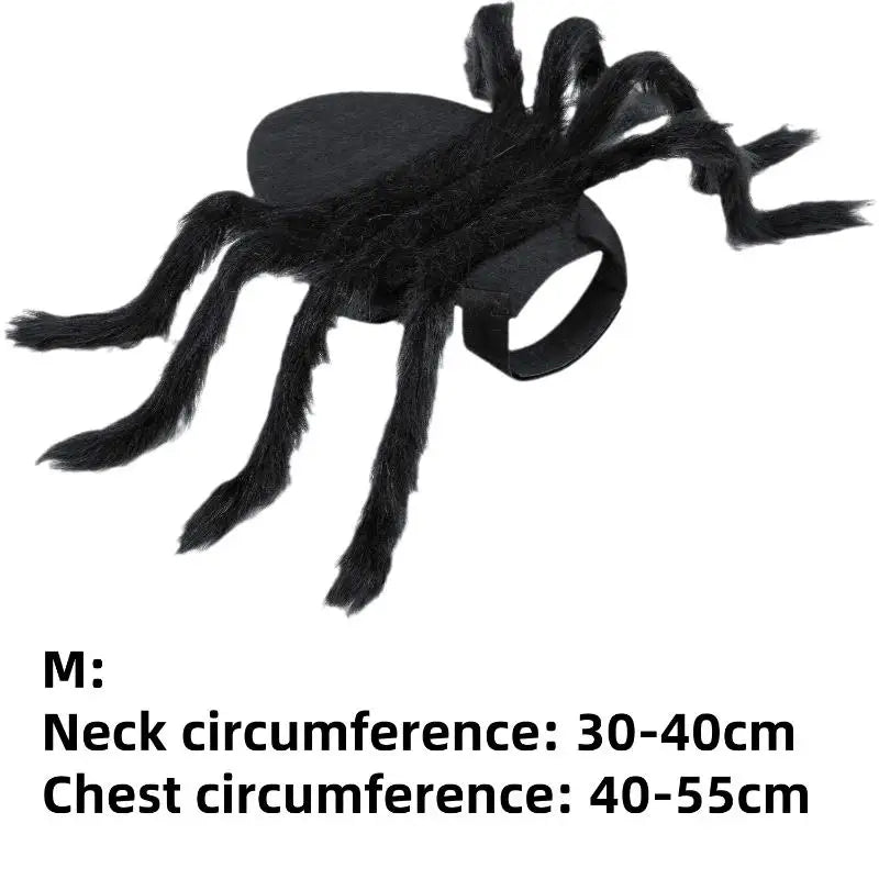 Spider Pet Costume for Halloween