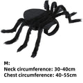 Spider Pet Costume for Halloween