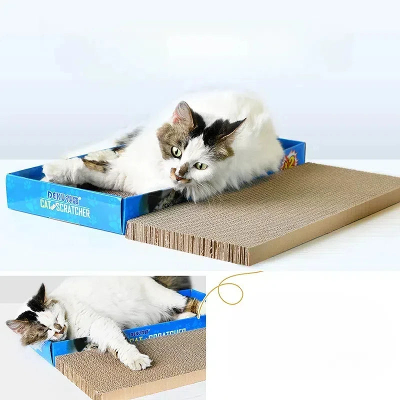 Cat Scratching Lounge Board