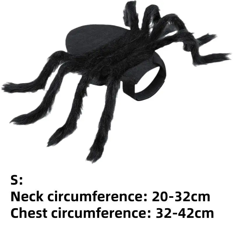 Spider Pet Costume for Halloween