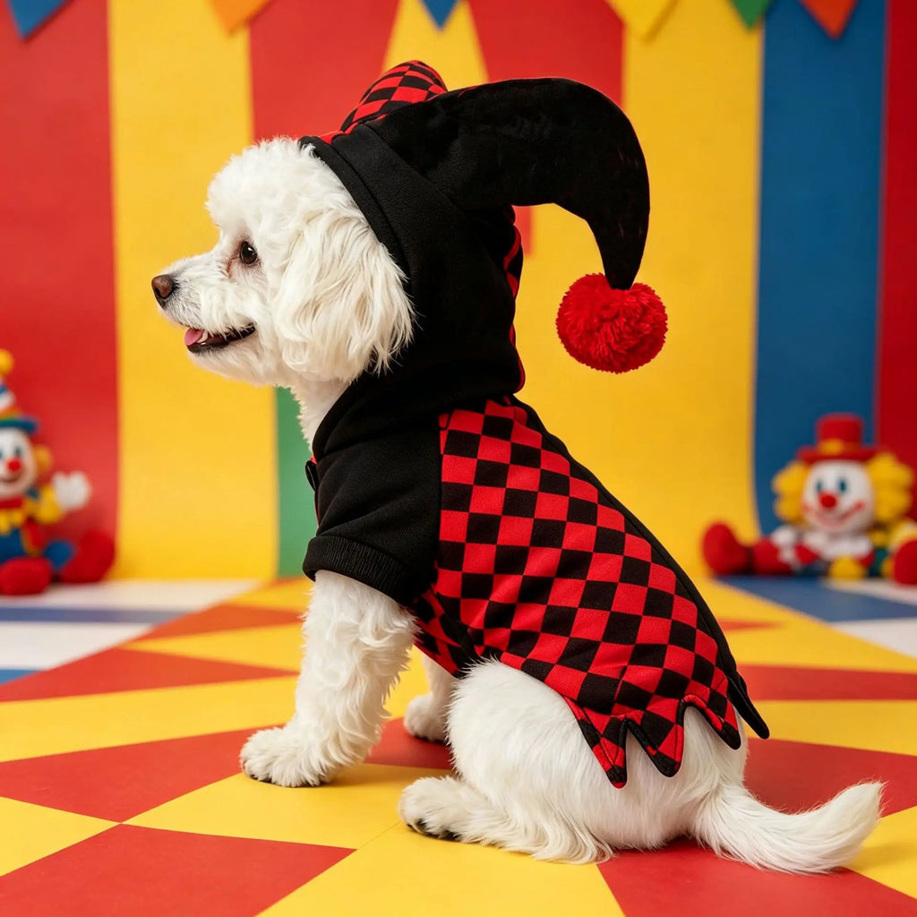 Clown Pet Costume for Halloween