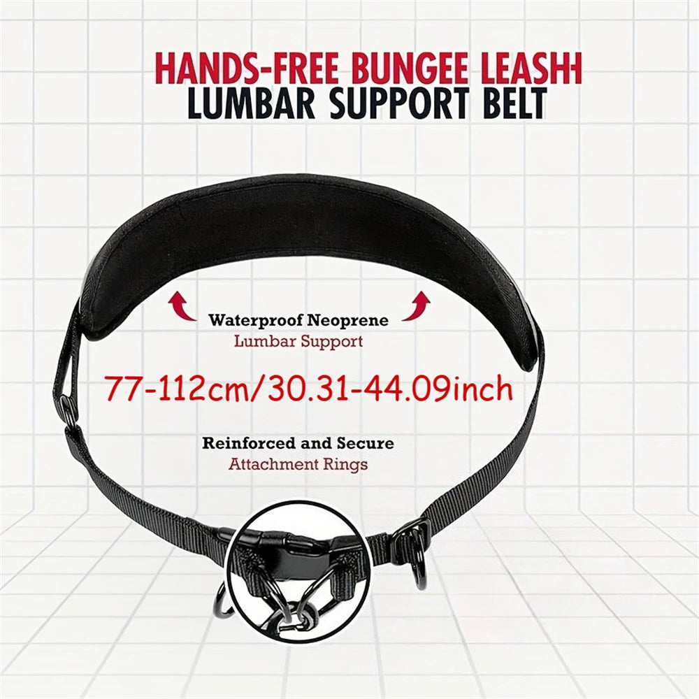 Hands-Free Waist Dog Leash – Crossbody & Jogging