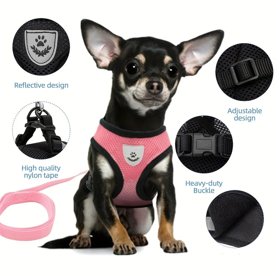 Escape-Proof Cat Harness & Leash Set – Breathable Mesh Vest
