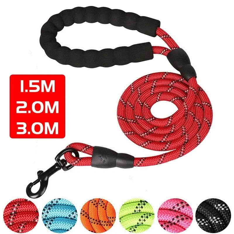 Reflective Dog Leash – Night-Safe Walking