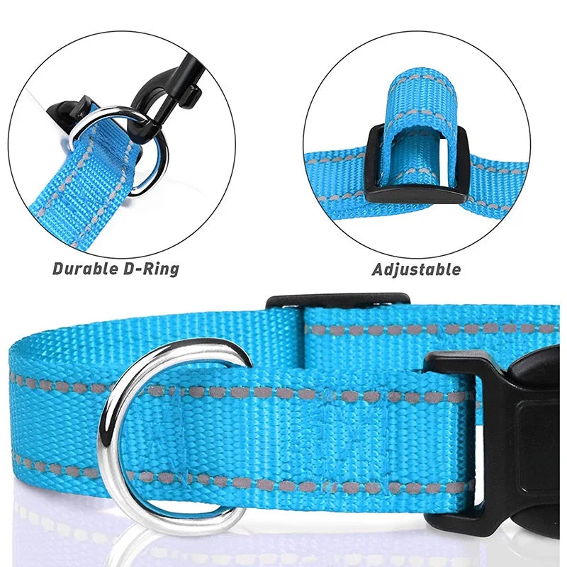 Reflective Nylon Dog Collar – Night-Safe Walking Collar