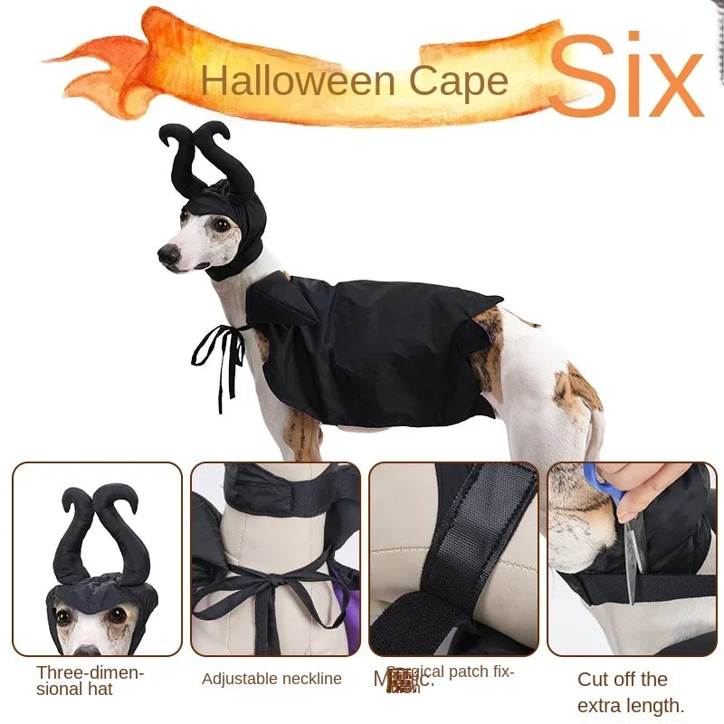 Pet Witch Hat & Cape Set – Halloween Costume