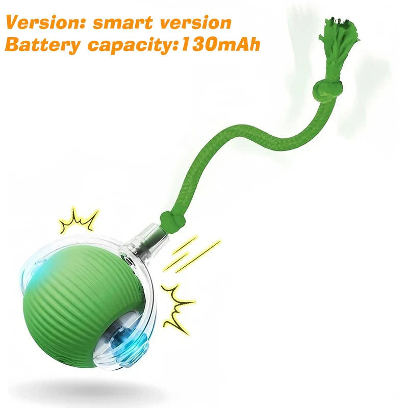 Interactive Rolling Ball Toy for Cats & Dogs
