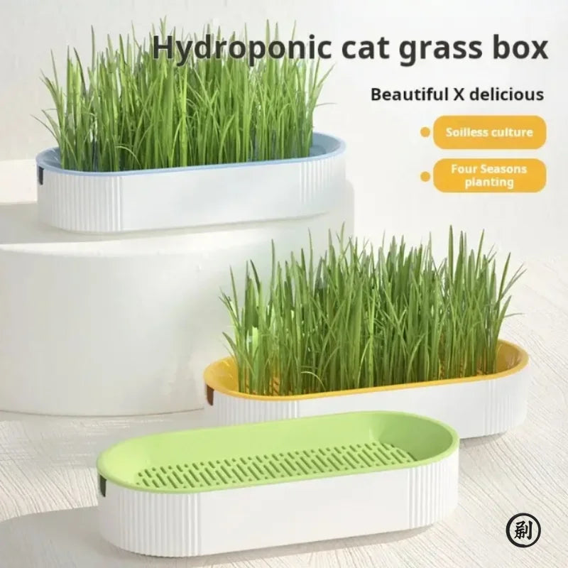 Organic Cat Grass Growing Kit