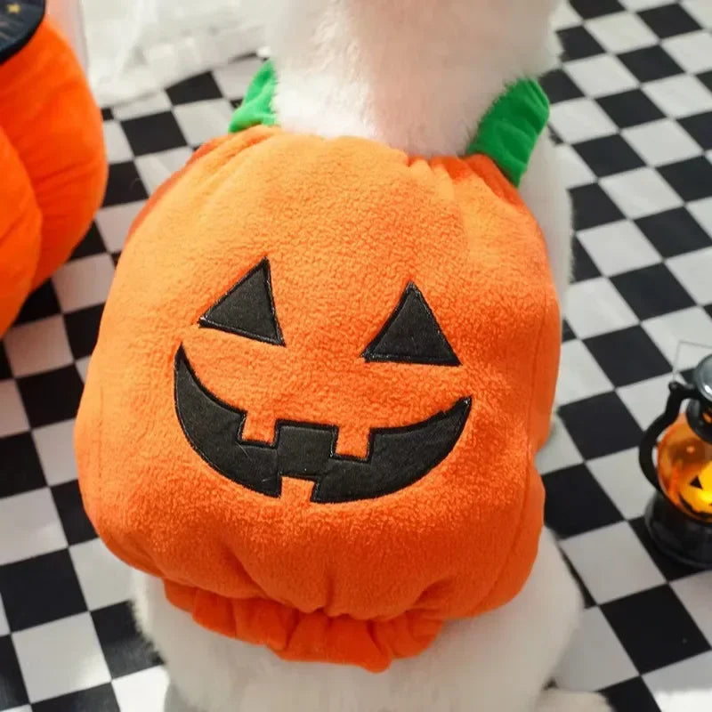 Plush Pumpkin Pet Costume for Halloween