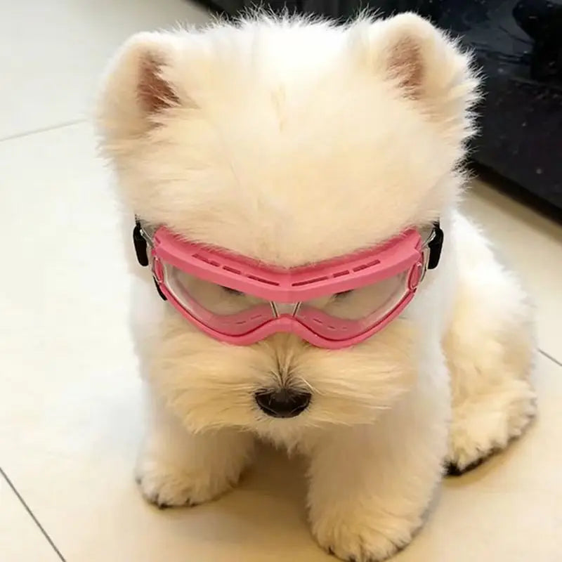 UV Dog Sunglasses – Windproof & Dustproof Goggles