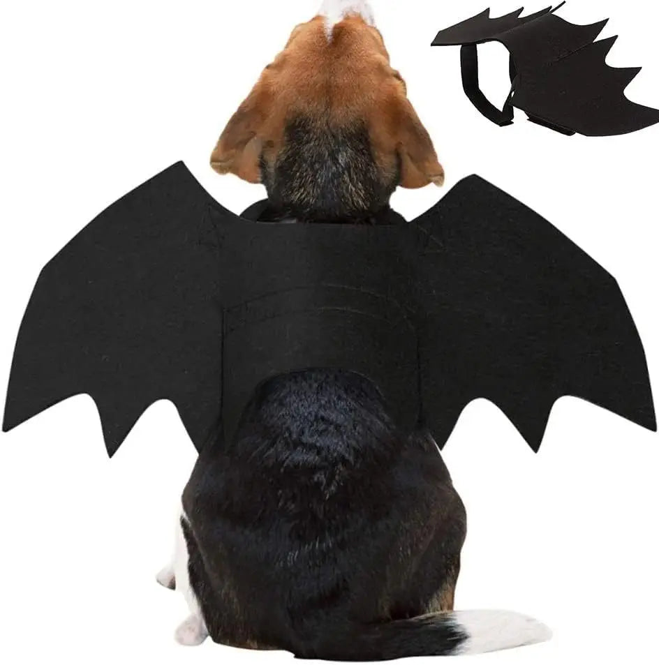 Bat Wings Pet Costume for Halloween
