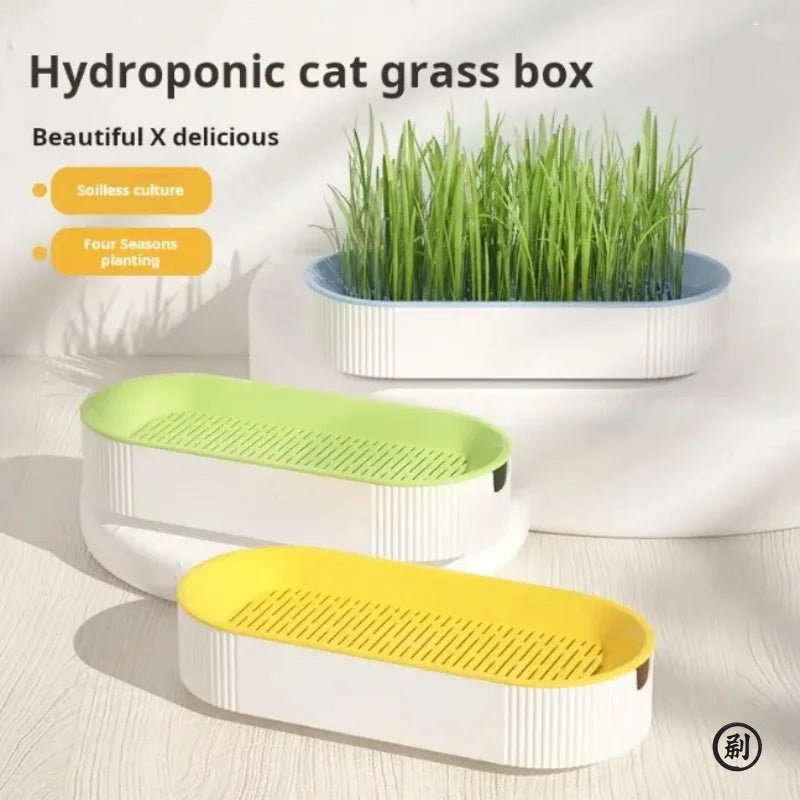 Organic Cat Grass Growing Kit