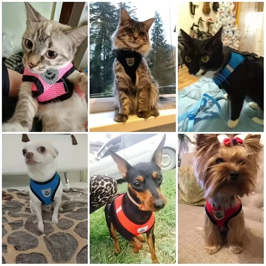 Escape-Proof Cat Harness & Leash Set – Breathable Mesh Vest