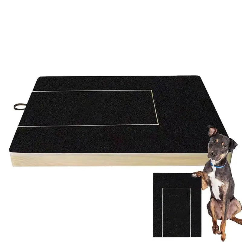 Dog Nail Scratch Filing Board with Treat Box