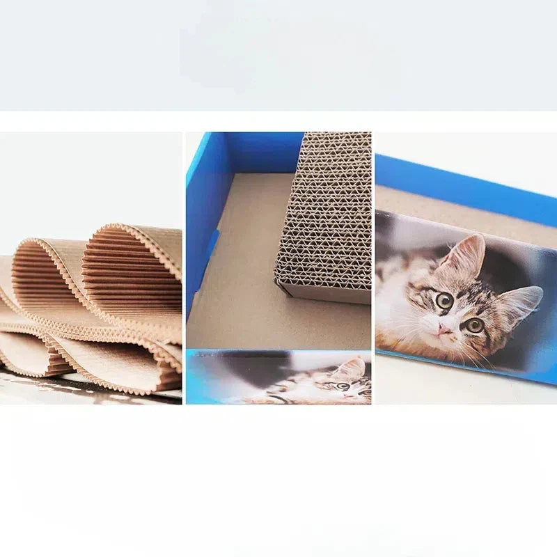 Cat Scratching Lounge Board