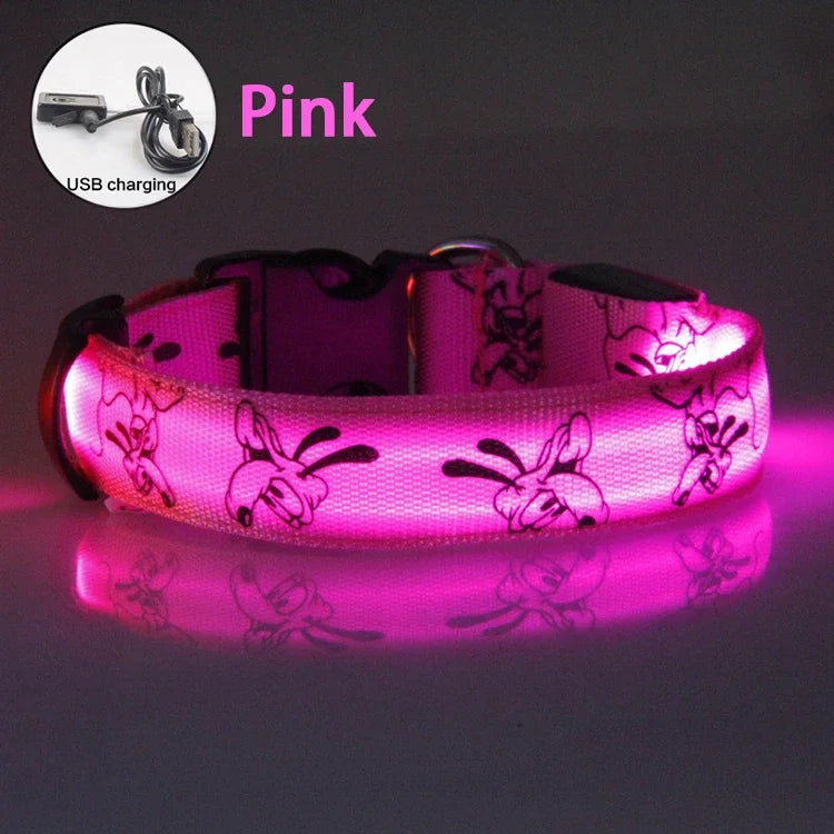 USB Rechargeable LED Dog Collar