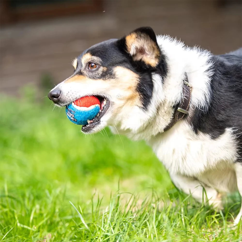 Squeaky Tennis Balls for Dogs – 4-Pack Fetch Toys