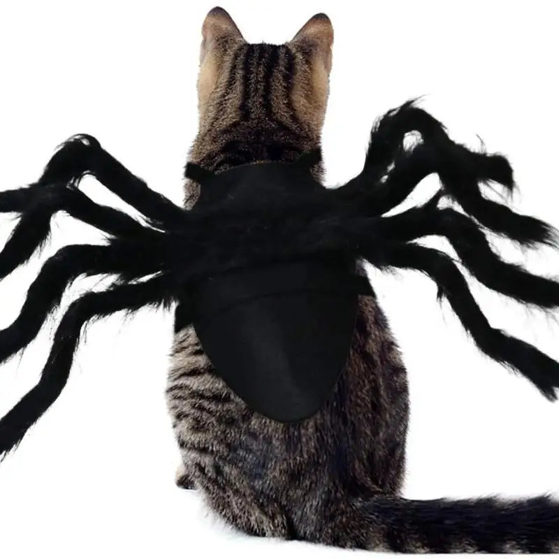 Spider Pet Costume for Halloween