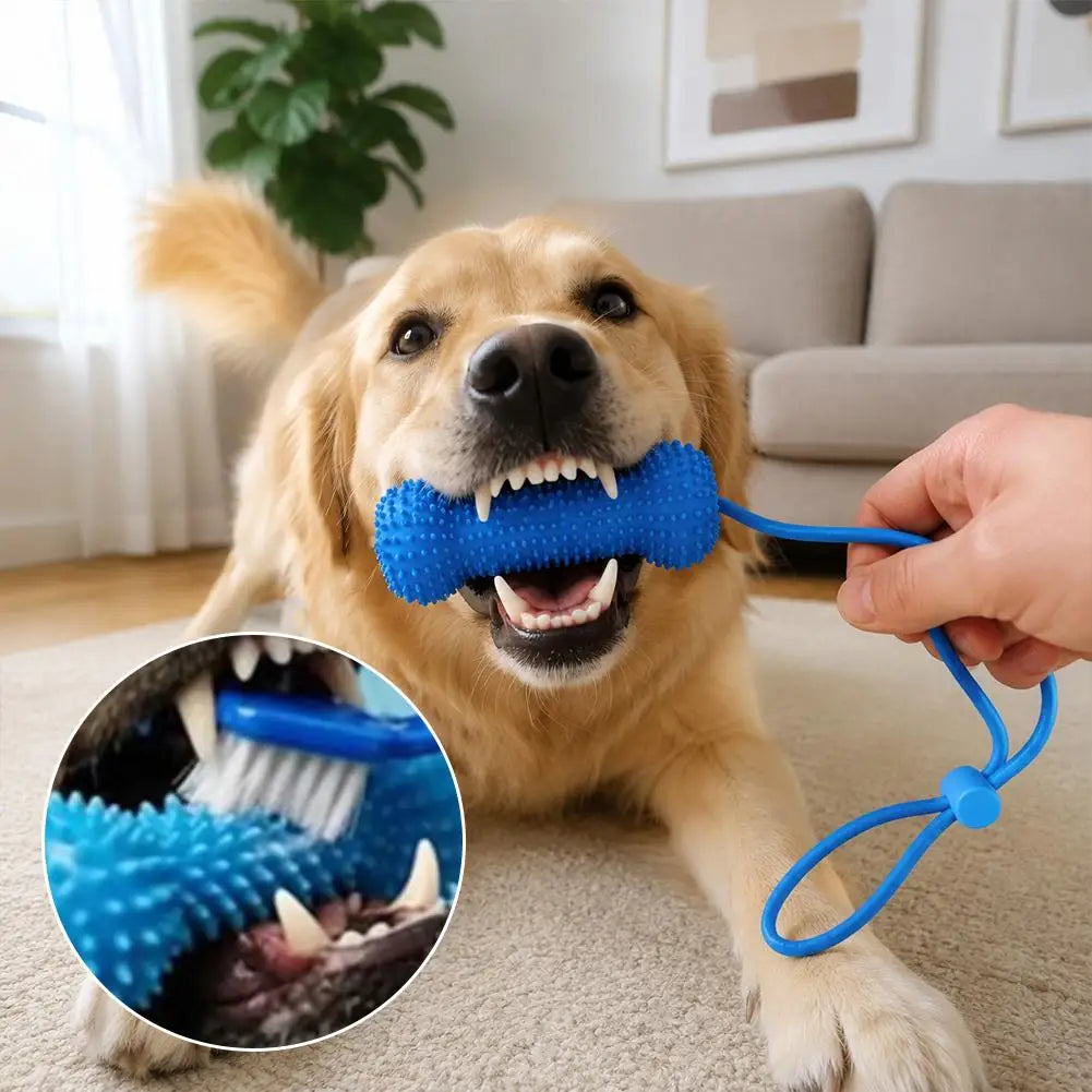 Dog Chew Toothbrush Stick – Dental Cleaning Toy