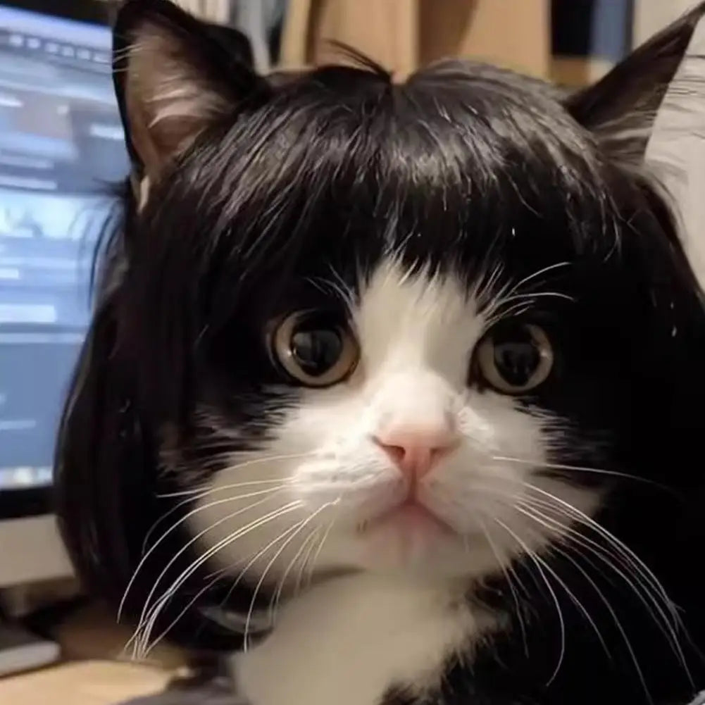 Funny Pet Wigs for Cats & Dogs
