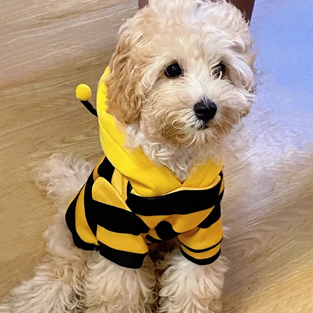 Bumble Bee Pet Costume – Fuzzy Halloween Outfit