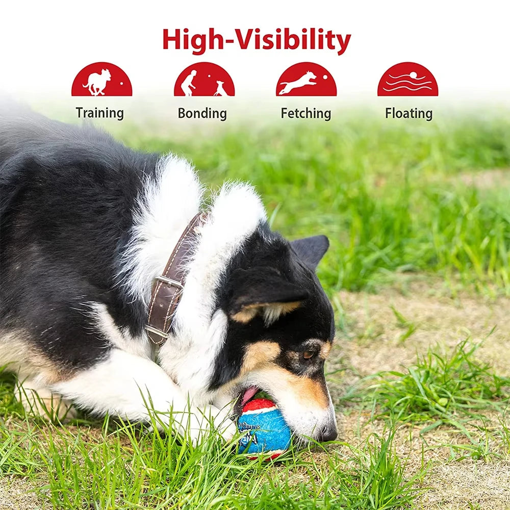Squeaky Tennis Balls for Dogs – 4-Pack Fetch Toys