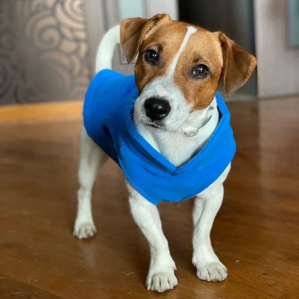 Fleece Dog Vest with D-Ring Leash Attachment