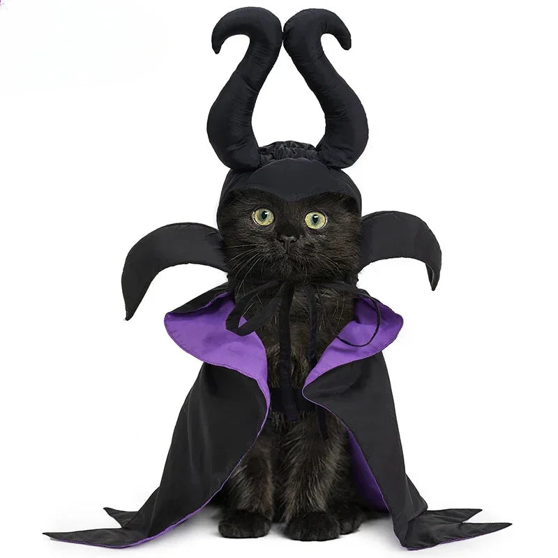 Pet Witch Hat & Cape Set – Halloween Costume