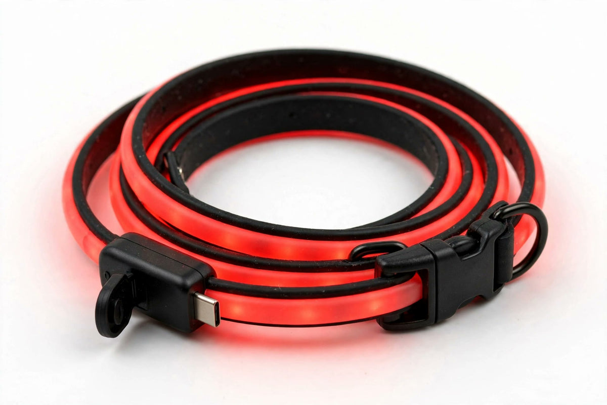 USB Rechargeable LED Dog Collar