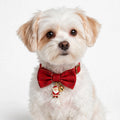 Christmas Bow Tie Dog Collar Set – Santa Pendant & Bell
