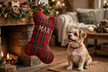 Personalized Dog Bone Christmas Stocking – Holiday Hanging Stocking
