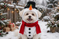 Standing Snowman Pet Costume – Funny Winter Snowman Outfit