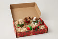 Christmas Pet Gift Box Set – Holiday Dog Toy Gift Set