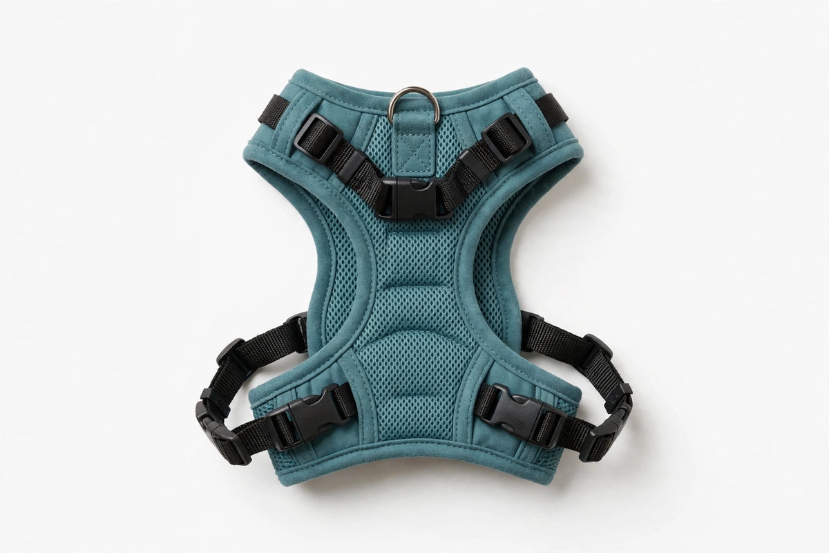 Escape-Proof Cat Harness Vest – Adjustable Vest Harness for Cats