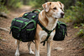 Dog Hiking Saddle Backpack – Trail Pack with Saddlebags for Dogs